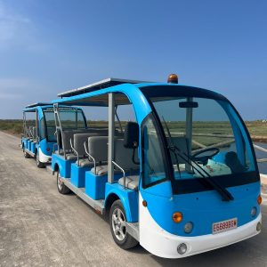 Viaje en TREN ELÉCTRICO NUEVA UMBRÍA